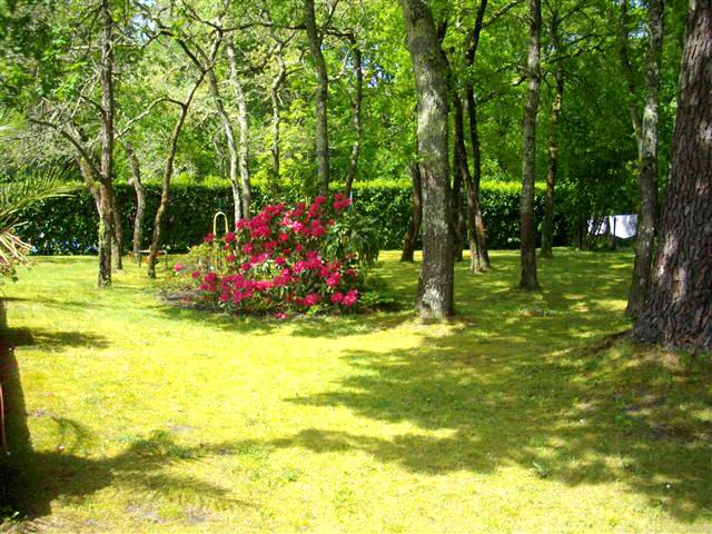 jardin de 1702 m² cestas